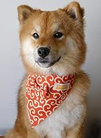 karakusa bandana