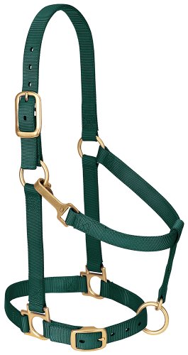 image for Weaver Equine Weaver Leather Nylon Horse Halter, Padded and Adjustable