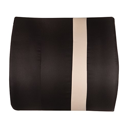 HealthSmart Vivi Relax-A-Bac Premium Lumbar Back Support Cushion Pillow with Insert and Strap, Black/Tan Stripe