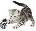 DOGTEK Eyenimal Cat Video Camera with Built-In Night Vision