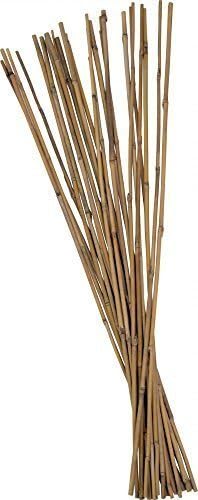 10 Pcs Tonkinstaebe Bamboo sticks Planting bars ø 8-10 mm x 90 cm