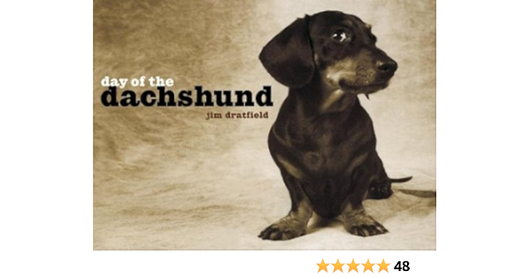 amazon dachshund