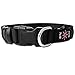 LED Dog Cat Collar, USB Rechargeable Waterproof Neck Collar Reflective Flashing Collar Adjustable Size Light up Night to Keep Your Dog Visible & Safe
