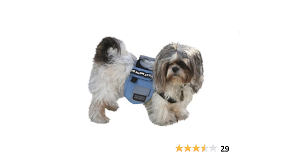 off white dog backpack