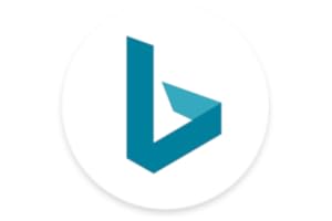 Bing Search
