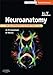 Neuroanatomy E-Book: An Illustrated Colour Text