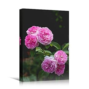 signwin Canvas Wall Art Pink Fields Bohemian Colorful...