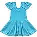 TiaoBug Girls' Sheer Ruffle Short Sleeve Tutu Skirted Ballet Dress Gymnastic Leotard for Dance/Ballet/Trainning Size 3-4 Blue