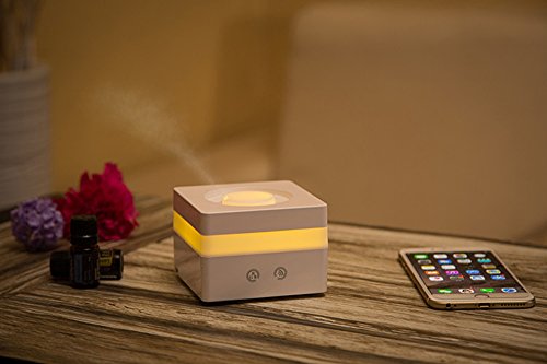 5 Tepoinn+Portable+Handheld+Garment+Steamer