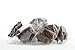 Jennies Organic Individually Wrapped Macaroons 10/.75oz (2 Count) - Gluten Free, Kosher, Peanut Free, Dairy Free - Double Chocolate Sea Salt)