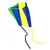 EARTH KITE Beautiful Large Easy Flyer Kite for Kids. Supplest Pocket Kites.-Box color may vary
