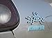 Ring of Fire Enterprises Flying Spaghetti Monster Car Emblem