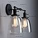 Phansthy Black Wall Sconce Double Sconce Light with Dual 5.6 Inches Clear Glass Lampshade(Black)