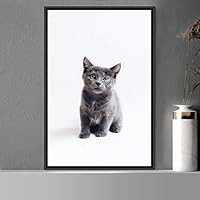 Framed Canvas Wall Art Cat Animals Cat Chic Multicolor Photography Urban - 16x24 inches