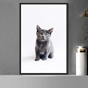 signwin Framed Canvas Wall Art Cat Animals Cat...