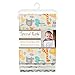 Mint Jungle 4 Pack Flannel Burp Cloth Set - 4 Deluxe Flannel Burp Cloths, Chevron, Crayon Jungle, Dot, Lullaby Zoo Print, Mint, Yellow, Gray and Orange, 11.5 in x 20 in
