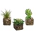 MyGift Set of 3 Decorative Mock Stone Ceramic Artificial Succulent Centerpiece Pots/Realistic Faux Plants