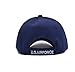 Afuraes United States Air Force Wing Embroidered Cap US Army USAF Air Force Military Baseball Caps for Veterans Retired and Active Duty Adjustable Navy, Medium