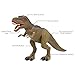 Best Choice Products 19in Kids Walking Remote Control T-Rex Tyrannosaurus Rex Dinosaur RC Toy Figurine w/ Light-Up Eyes, Roaring and Stomping Sounds