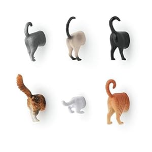 Kikkerland Cat Butt Magnets, Set of 6