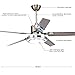 RainierLight Modern Ceiling Fan 5 Stainless Steel Blades Remote Control LED 3 LED Changing Light (White/ Warm/ Yellow) for Indoor Mute Energy Saving Electric Fan (48inch)