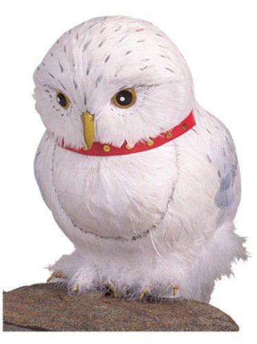 Harry Potter Hedwig The Owl - Neck May Vary