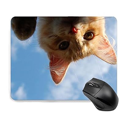 Amazon マウスパッド かわいい 猫 猫柄 萌え 人気 キャラクター 萌え Amazon マウスパッド かわいい 猫 猫柄 萌え 人気 キャラクター 萌え