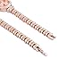 ShoppeWatch Ladies Bracelet Watch Petite Bling Crystals Rose Gold Tone Reloj de Dama King Girl SW9503RSRS