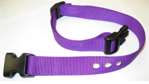 Grain Valley 1" Replacement Strap, Color: Purple. Sold Per Each. Fits Most PetSafe Bark Collars and Many Containment Collars. (No-Bark Collars / Accessories)