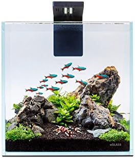 NANO SET - Aquarium Setup Kit with LED Lighting and Power Filter, 2,7 Gallon (10L) from ultra-transparent glass