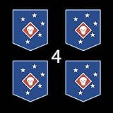 Marines USMC 1st MAC Raider Battalion SSI 3