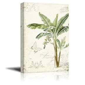 Canvas Wall Art - Vintage Stylet Tropical Plant with Giant Leaves - Giclee Print Gallery Wrap Modern Home Art Ready to Hang - 12x18 inches