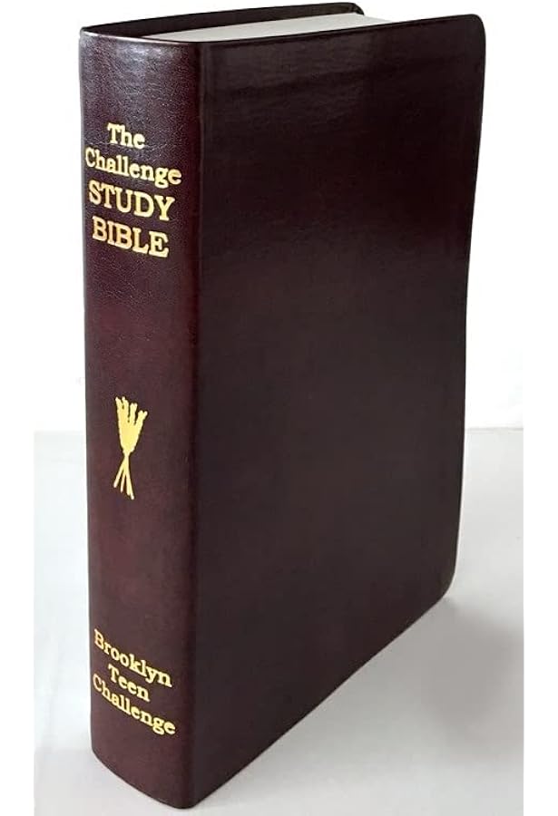 The Learning Bible: Contemporary English Version: American Bible