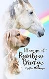 I'll See You at Rainbow Bridge by