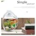 Tfwadmx Wall Fish Bowl, Hanging Wall Mounted, Fish Bubble Wall Mount Aquarium Acrylic Fish Tank, Betta Fish Bowl Plant Pot Flowerpot (White)