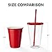Maars Classic Insulated Tumblers 16 oz | Double Wall, Reusable Plastic Acrylic - Clear | Perfect for Parties, Birthdays, Customization - 4 Pack