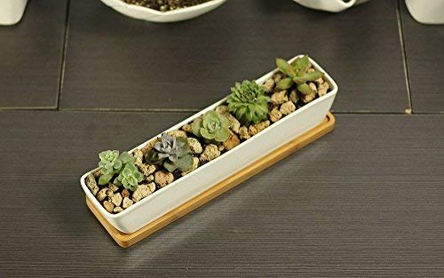 Pot de fleurs artificielles blanc en céramique –  Pots rectangulaire conteneurs avec plateau en bambou pour planter Mini Succulente Cactus