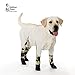 Walkee Paws Waterproof Dog Leggings | Keep Dog's Paws and Legs Clean & Dry On Walks | Protect Paws from Spring Rain, Mud & Summer Heat | Alternative to Dog Shoes | Camouflage (Size: Medium Dog)