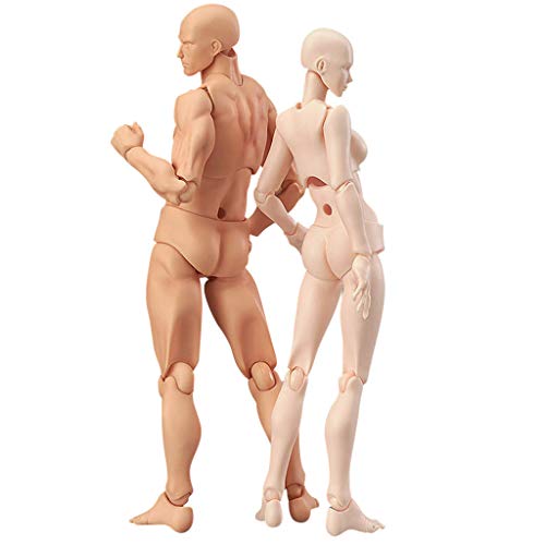 XEDUO 2 Pcs/Set Action Figure Model, Human Mannequin Man/Woman Action Figure Equitment with Accessories Kit,Suitable for Sketching, Painting, Drawing, Artist, Kids, Cartoon Figures Action (A)