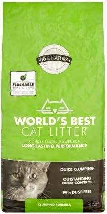 the world's best litter