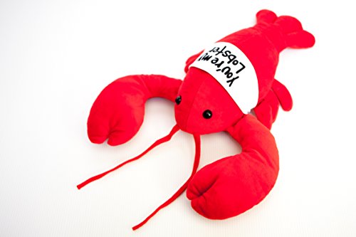 “You’re My Lobster” Plush – Inspired by the Friends TV Show (17