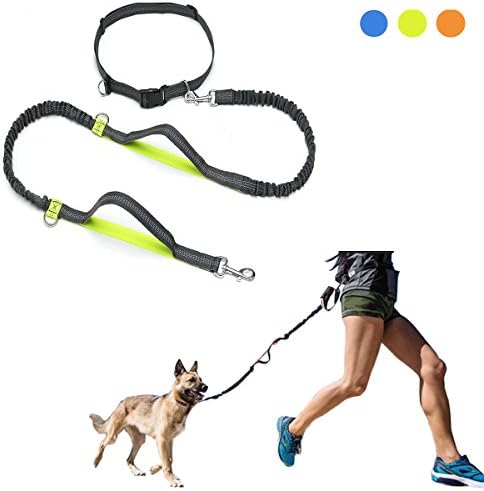 PetBus Retractable Hands Free Dog Leash Heavy Duty Dog Running Training Leash Harness Supports Pulling 150 lbs Large &amp; Medium Sized Dogs