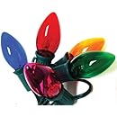 Good Tidings Holiday Light Set, 25-Lights, Transparent Multi-Colored C9