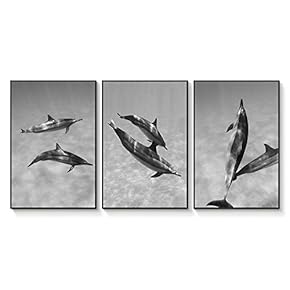 Floating Framed Canvas Wall Art for Living Room, Bedroom Black and White Landscape Canvas Prints for Home Decoration Ready to Hang - 16"x24"x3 Panels