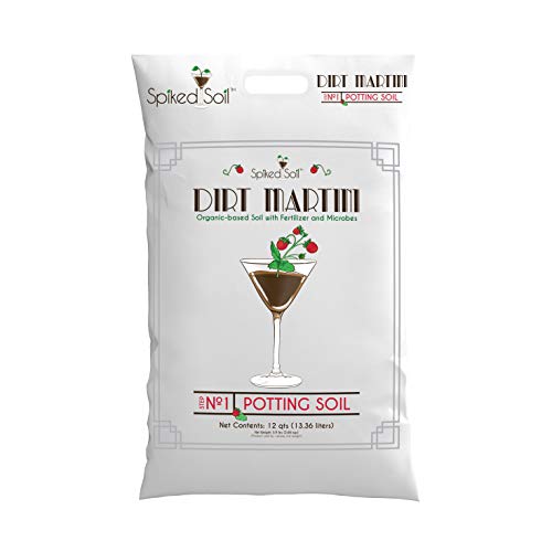 Best Raised Garden Bed Soil Amendment