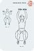The Fitness Ball Deck: 50 Exercises for Toning, Balance, and Building Core Strength