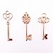 Aokbean Mixed Set of 30 Large Skeleton Keys in Rose Gold - Set of 30 Keys