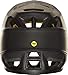 Fox Proframe Matte Black Helmet 2019 MATTE-BLACK-255 L