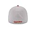 NFL San Francisco 49ers 2015 Gray Training Camp 39Thirty Stretch Fit Cap, Medium/Large, Gray