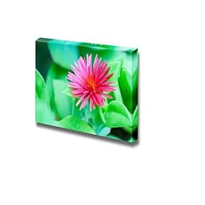 Pink Flower Wall Decor